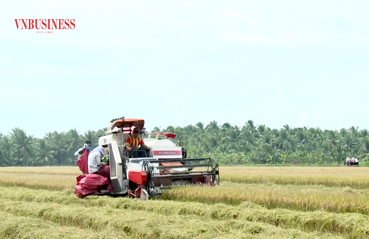 HTX Rạch Lọp là một trong những điển hình về xây dựng nông nghiệp, nông thôn ở Tiểu Cần.