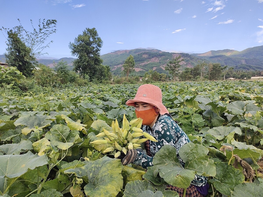Hỗ trợ người dân tiếp cận các chính sách hỗ trợ tạo nền tảng để họ phát triển sản xuất, vươn lên thoát nghèo.