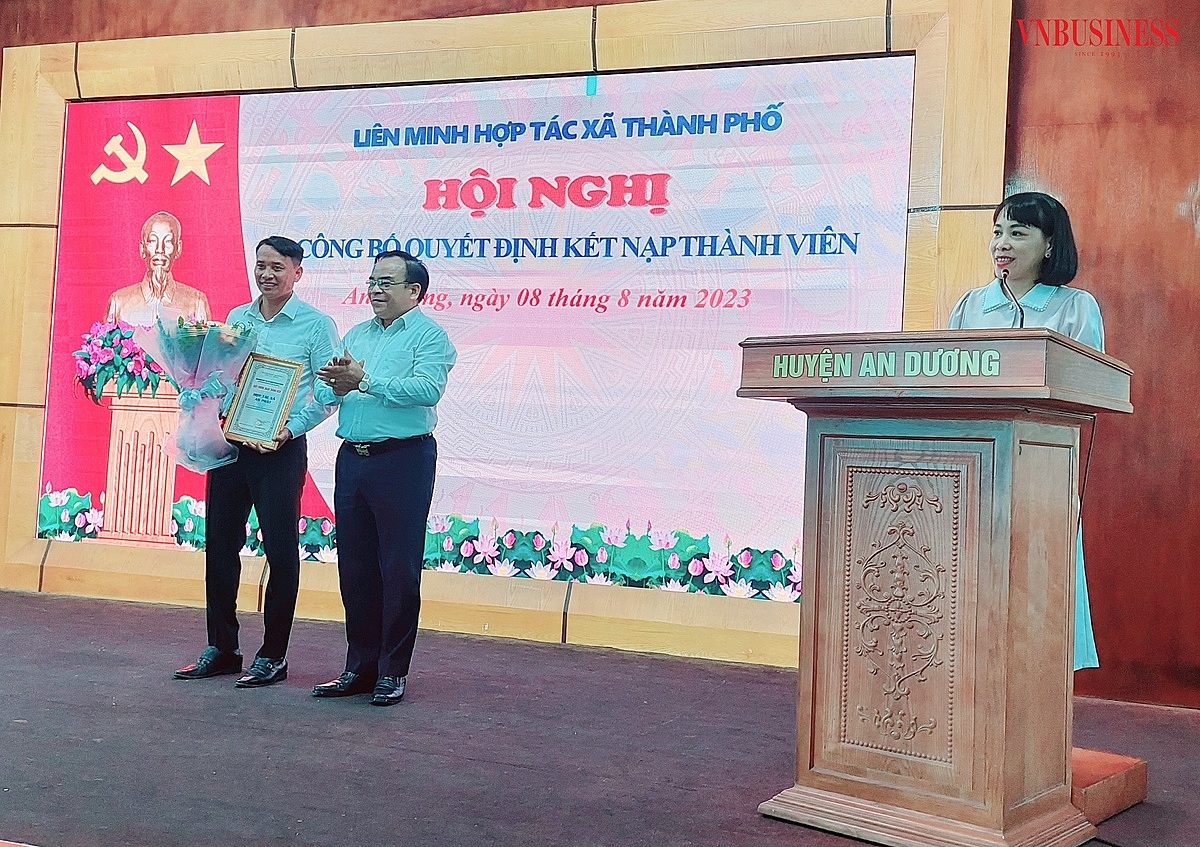 Các HTX nhận quyết định và giấy chứng nhận thành viên của Chủ tịch Liên minh HTX TP Hải Phòng.