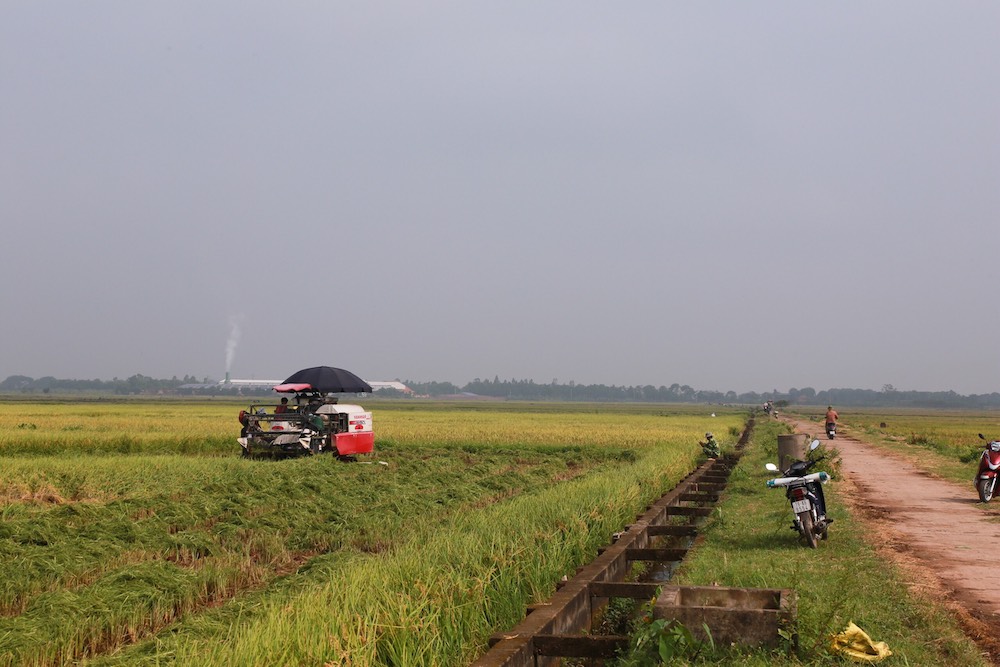 Nguồn vốn vay từ Quỹ hỗ trợ phát triển HTX giúp HTX dịch vụ nông nghiệp và điện năng Vĩnh Lại mua máy móc thiết bị hiện đại để sản xuất lúa, mang lại giá trị kinh tế cao.