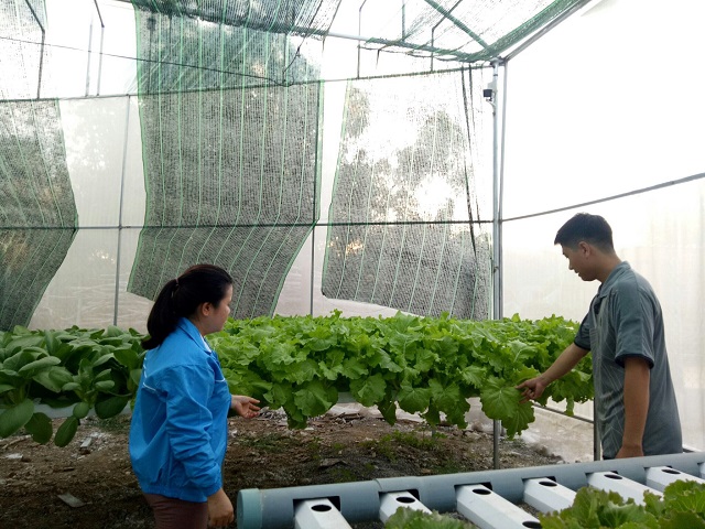 Các HTX đã liên kết với các hộ dân, xây dựng chuỗi giá trị hàng hóa, giúp xóa đói, giảm nghèo.