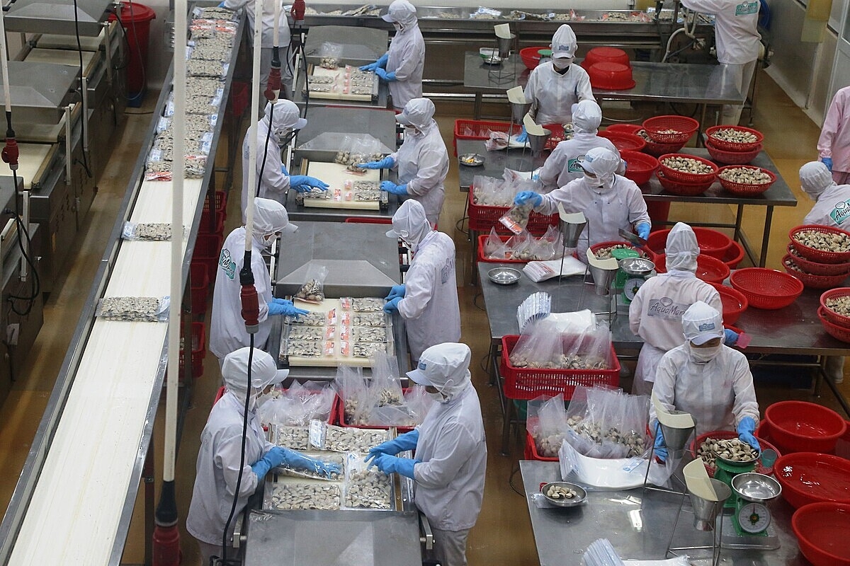 Đối tượng vay vốn theo chương trình là pháp nhân, cá nhân có dự án/phương án phục vụ cho hoạt động sản xuất kinh doanh lĩnh vực lâm sản.