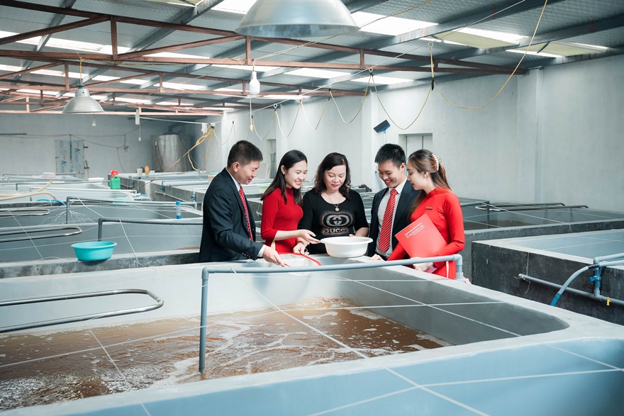 Agribank có nhiều giải pháp hỗ trợ người dân, doanh nghiệp khôi phục và phát triển sản xuất kinh doanh.