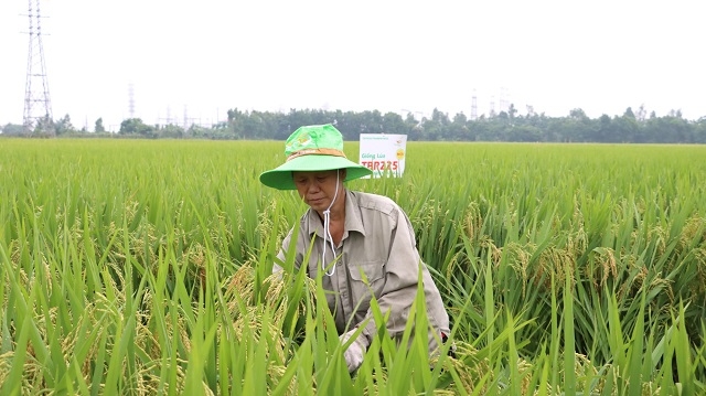Trong xây dựng NTM, các HTX ở huyện Hà Trung, tỉnh Thanh Hóa đã có nhiều cách làm hiệu quả, tạo được bước đột phá, nhất là tiêu chí nâng cao thu nhập cho người dân.