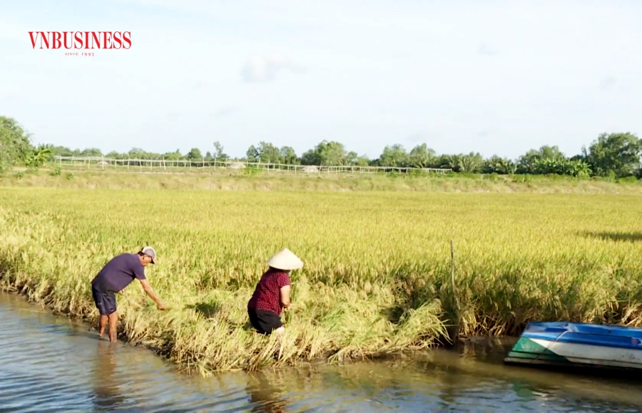 HTX Long Hiệp đang là một điển hình đóng góp xây dựng nông thôn mới ở Trà Cú.