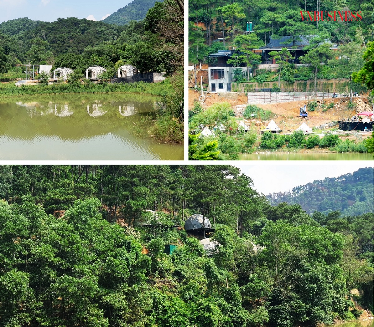 Khu vực những cánh rừng ven hồ Đồng Đò được xây dựng nhà ở kiên cố, khu vực cắm trại, homestay.