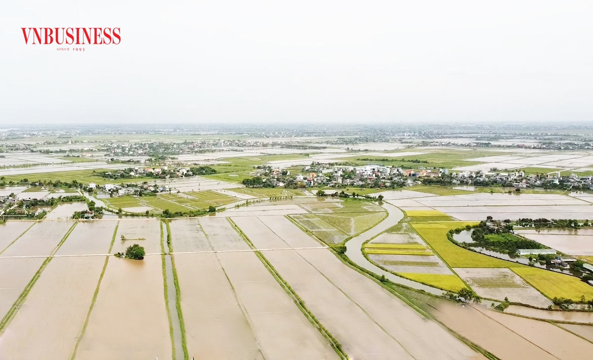 Chuyển đổi cơ cấu nông nghiệp tiếp tục là chìa khóa để Kiến Xương thúc đẩy nông thôn mới.