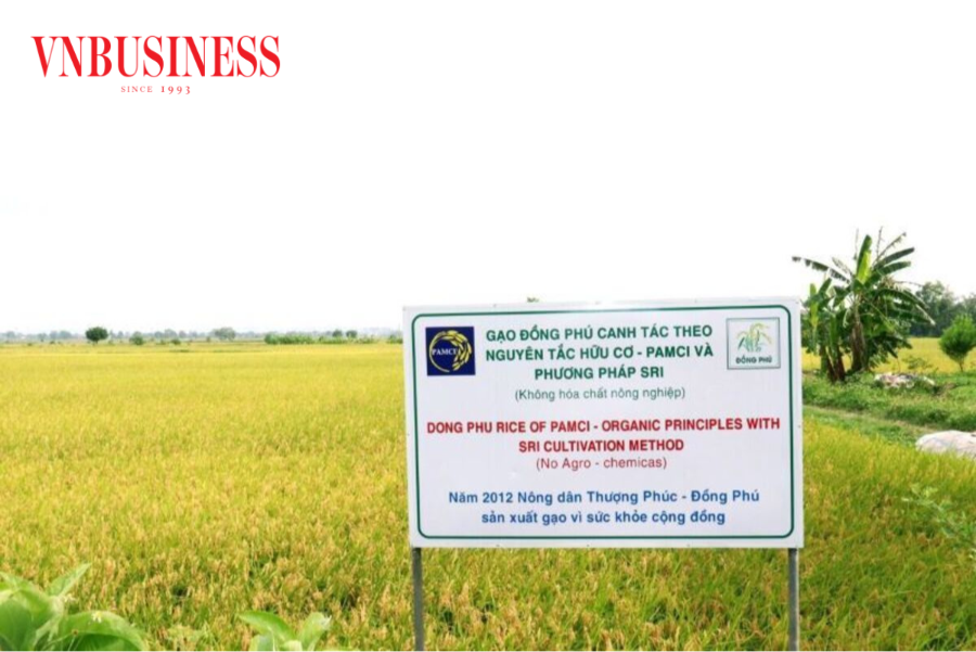 HT X được đánh giá là một trong những mô hình nông nghiệp điển hình của thành phố Hà Nội.