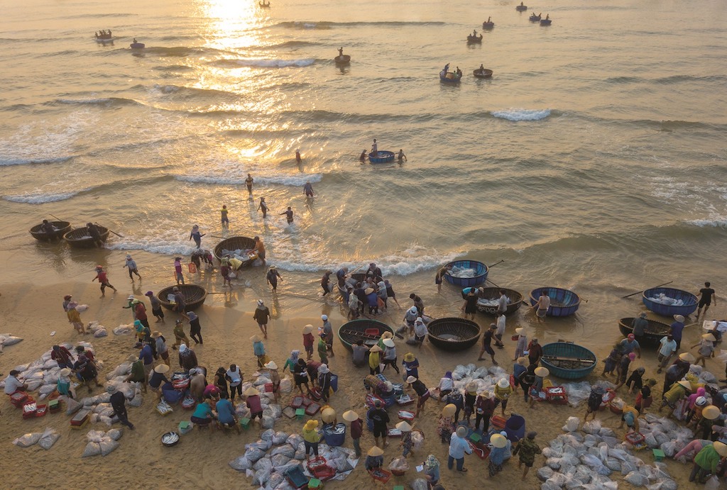 Các HTX ở huyện Núi Thành với sự tham gia của những người trẻ quyết tâm cùng với người dân vùng biển Tam Tiến phát triển những đặc sản biển quê hương.