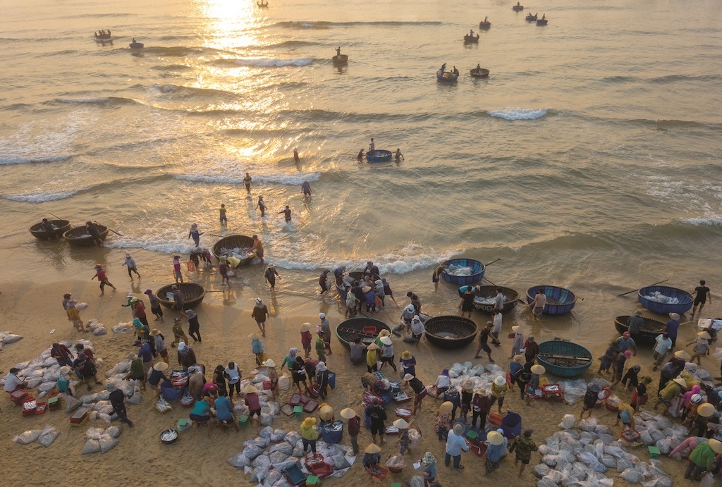 Các HTX ở huyện Núi Thành với sự tham gia của những người trẻ quyết tâm cùng với người dân vùng biển Tam Tiến phát triển những đặc sản biển quê hương.