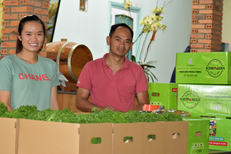 HTX Thủy Canh Việt đóng gói nông sản phục phụ tiêu thụ qua kênh thương mại điện tử