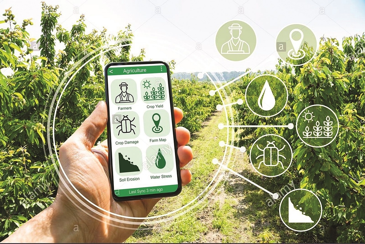 Thời gian qua, công tác chuyển đổi số trong nông nghiệp đã được TP Hà Nội quan tâm triển khai nhiều giải pháp đồng bộ.