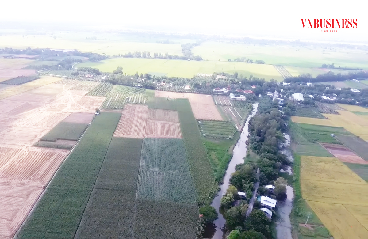 Diện mạo nông nghiệp nông thôn huyện Thanh Bình ngày càng khởi sắc.