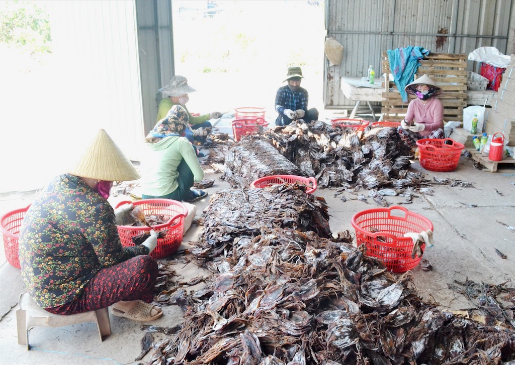 Các HTX giúp thay đổi cách nghĩ, cách làm của nông dân huyện Núi Thành để thoát nghèo bền vững.