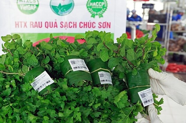 Nhờ ứng dụng chuyển đổi số, rau của HTX Chúc Sơn đã vào được các kênh phân phối uy tín với giá bán rau ổn định hơn nhiều so với bán rau ở chợ thông thường.