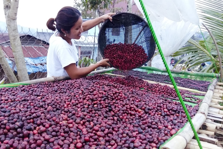 Ngày 10/3/2022, tổ hợp tác Oh Mi Kơ ho coffee tại thôn 1B chính thức thành lập, gồm 7 thành viên.
