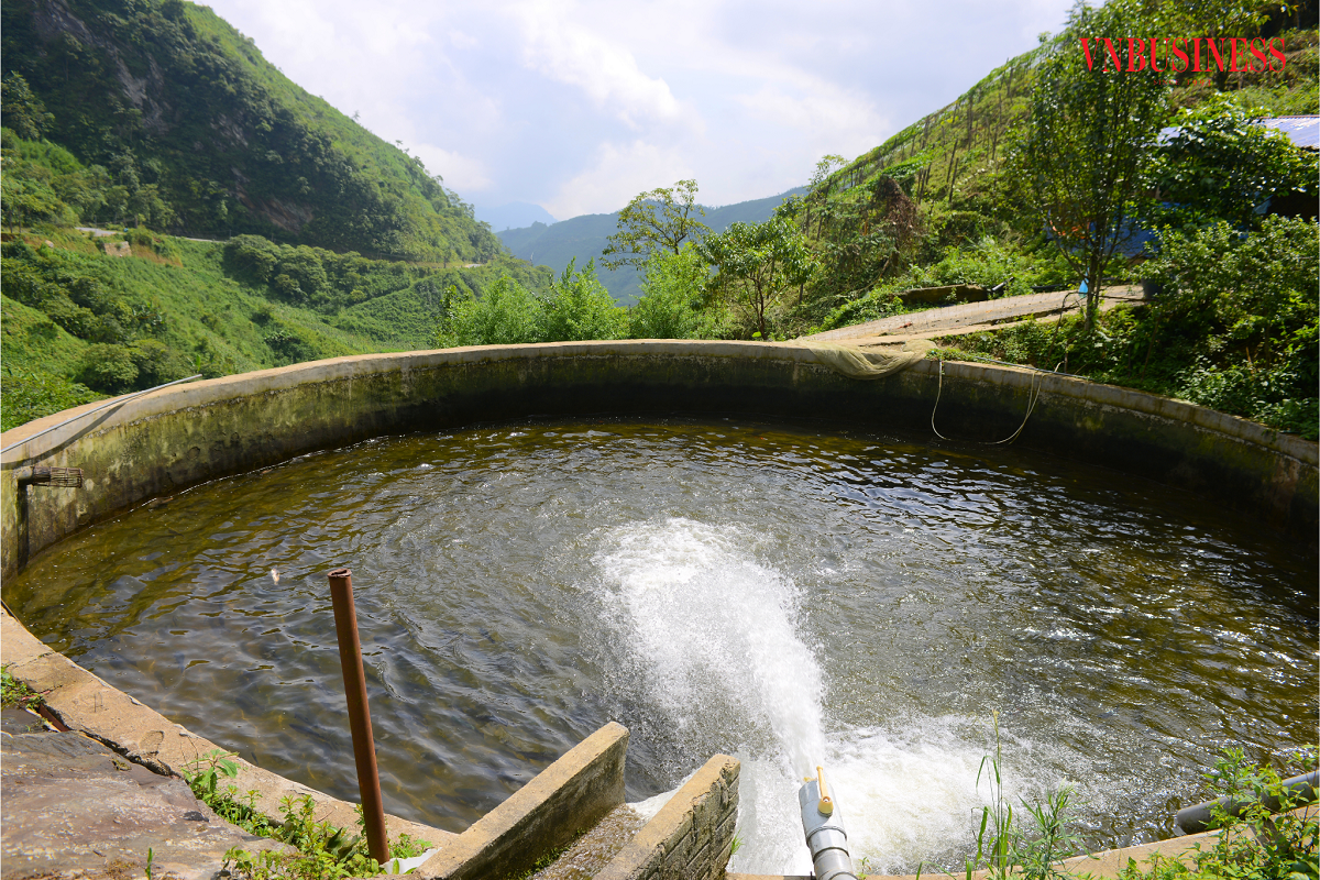 HTX Thức Mai là một trong 7 cơ sở nuôi cá nước lạnh đầu tiên ở Lào Cai mời chuyên gia về phân tích, đánh giá môi trường theo tiêu chuẩn VietGAP.