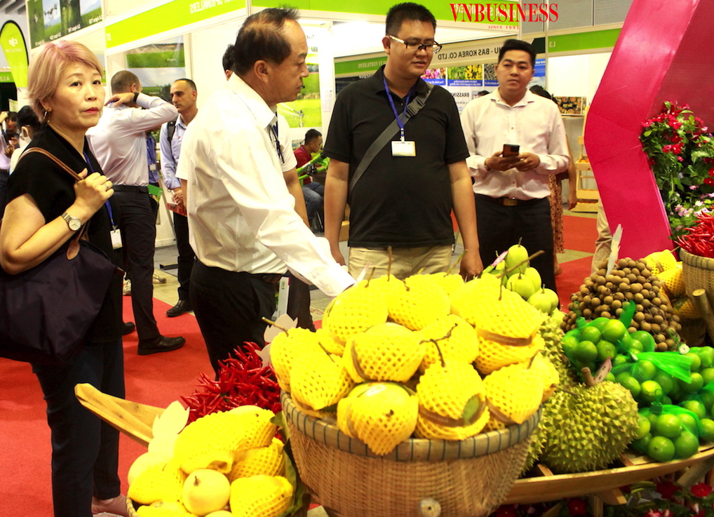 Điều mong mỏi của HTX và nông dân trong chuỗi liên kết sản xuất và tiêu thụ nông sản là DN đừng hứa suông, không thực hiện đúng cam kết trong hợp đồng.