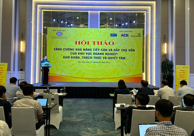 Phó Thống đốc Đào Minh Tú cho biết các ngân hàng đang đứng giữa 2 dòng nước, vừa phải đảm bảo an toàn nợ xấu, vừa phải tăng trưởng.