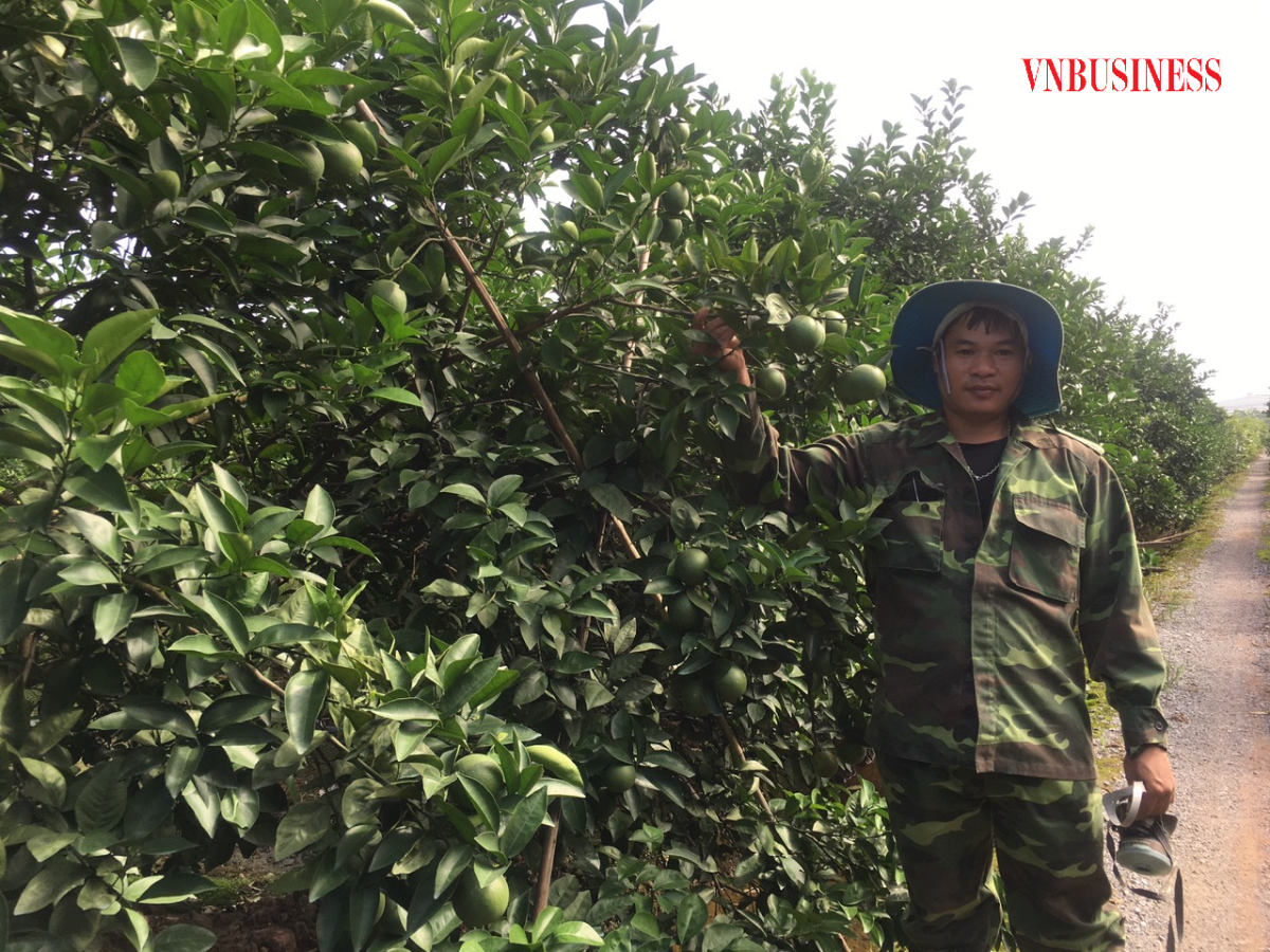 Thành viên HTX tự tin sản xuất sạch, sản phẩm đã có HTX đảm bảo đầu ra, không lo được mùa mất giá.