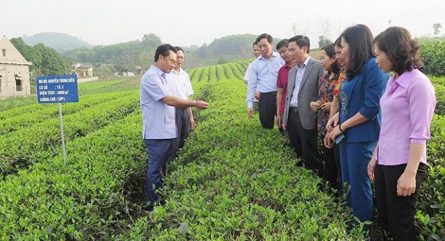 Tín đồ Công giáo đã năng động, sáng tạo, mạnh dạn đổi mới cách nghĩ, cách làm, tập trung phát triển kinh tế theo mô hình HTX.