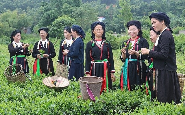 Đồng bào Công giáo ở Thái Nguyên luôn tích cực thi đua lao động sản xuất, sống tốt đời, đẹp đạo.