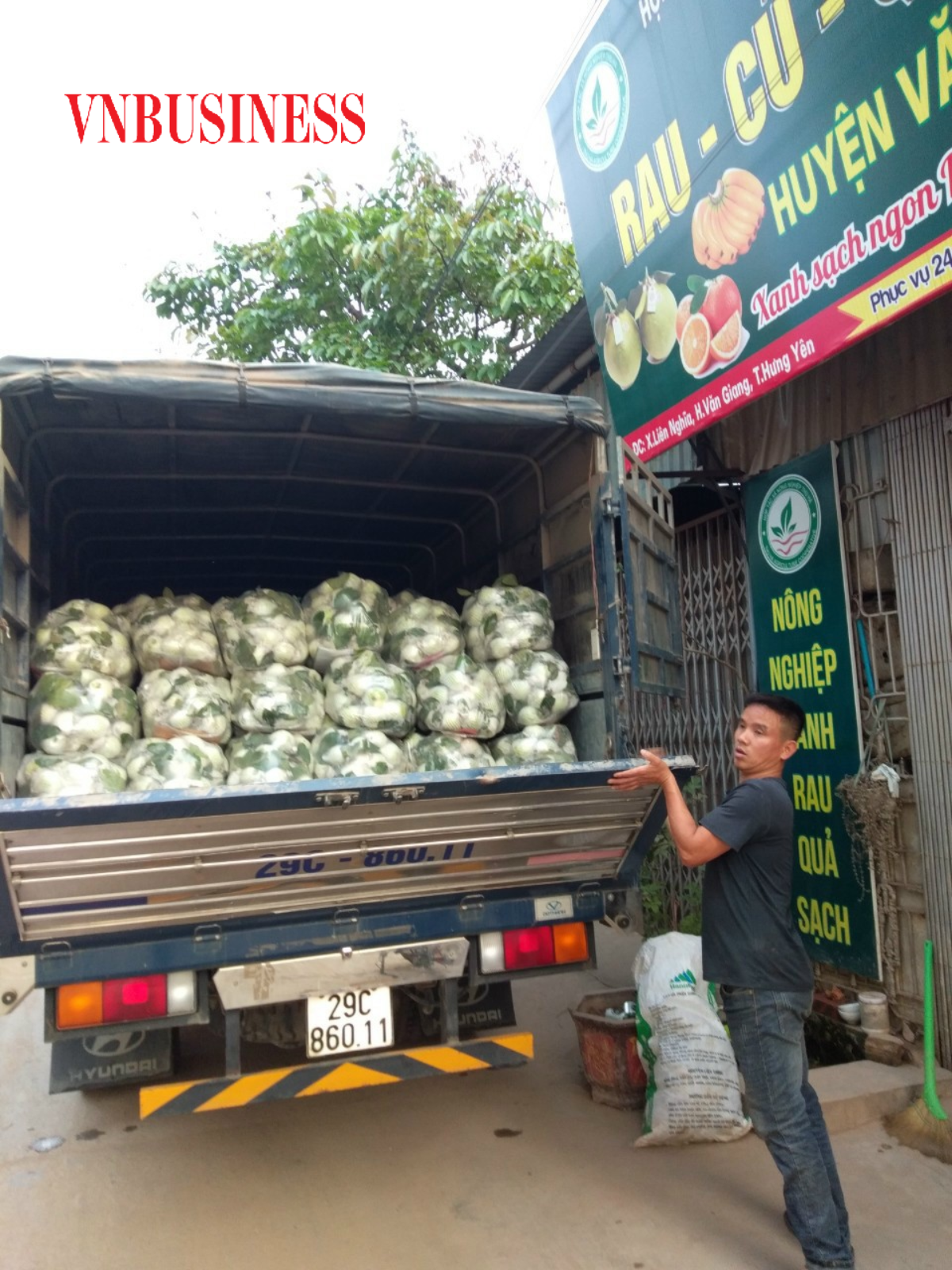 Mỗi ngày, HTX cung cấp ra thị trường bình quân 1-2 tấn quả, trên 5 tạ rau, củ