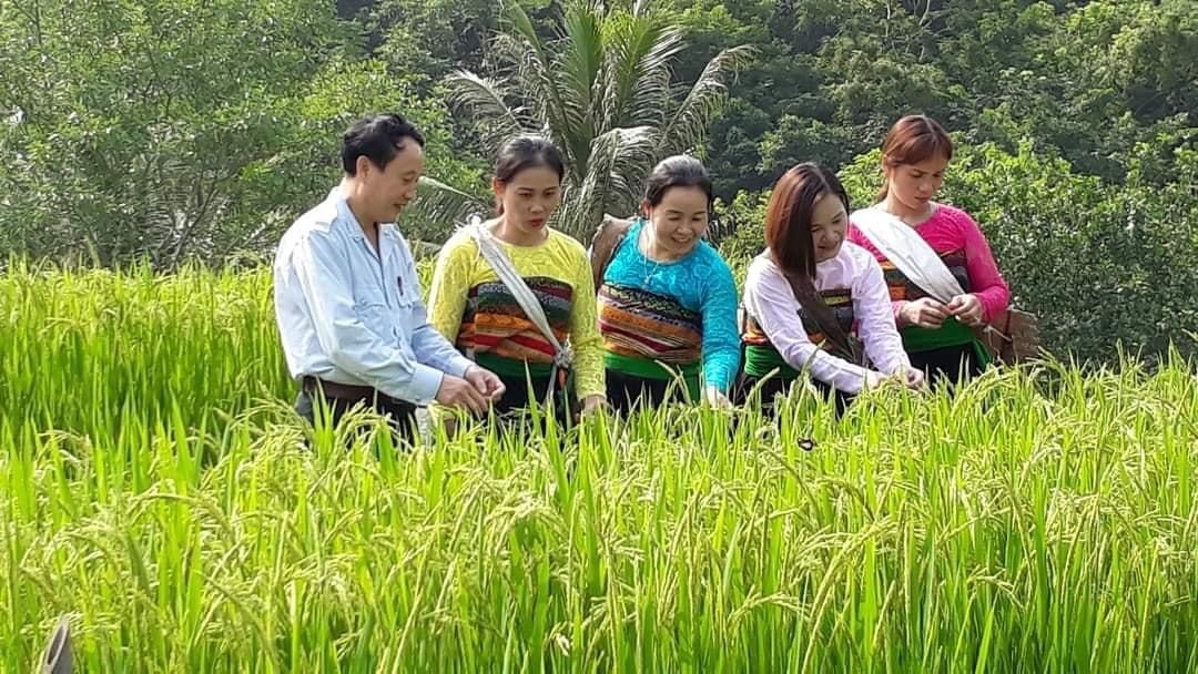 Thanh Hoá phấn đầu đến năm 2030 sẽ không còn huyện nghèo.