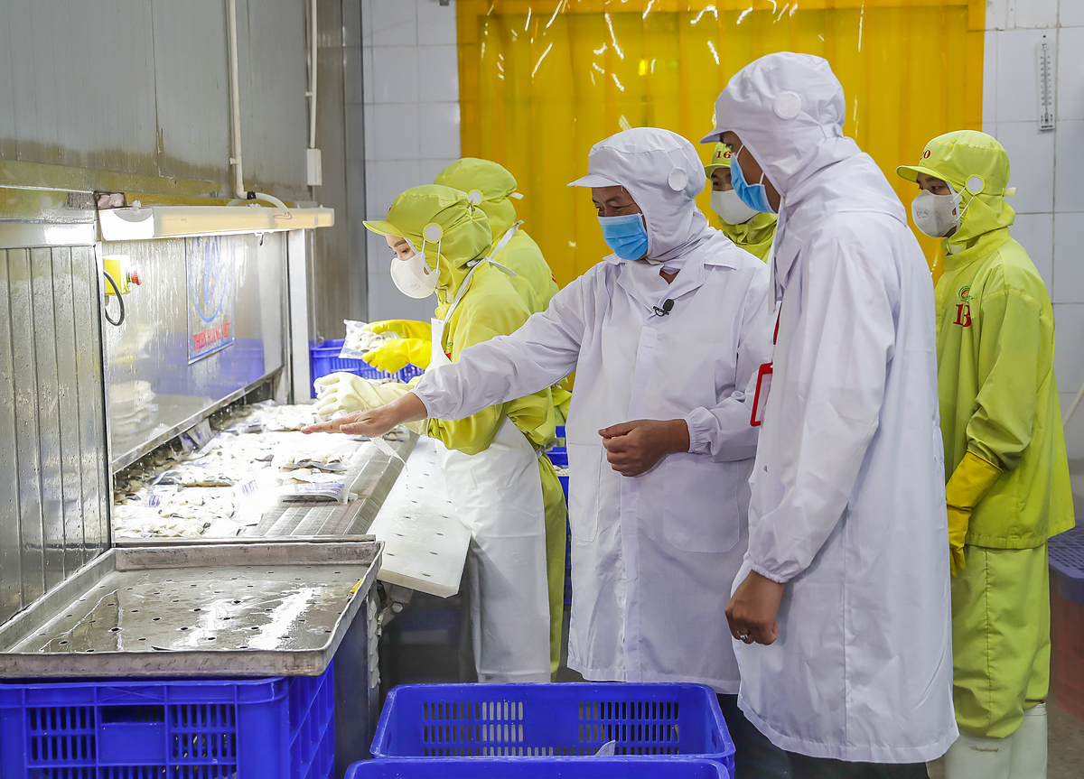 Thời gian triển khai chương trình ưu đãi cho ngành lâm sản thủy sản kéo dài đến hết ngày 30/6/2024 và có thể kết thúc sớm hơn khi giải ngân đủ ngân sách.