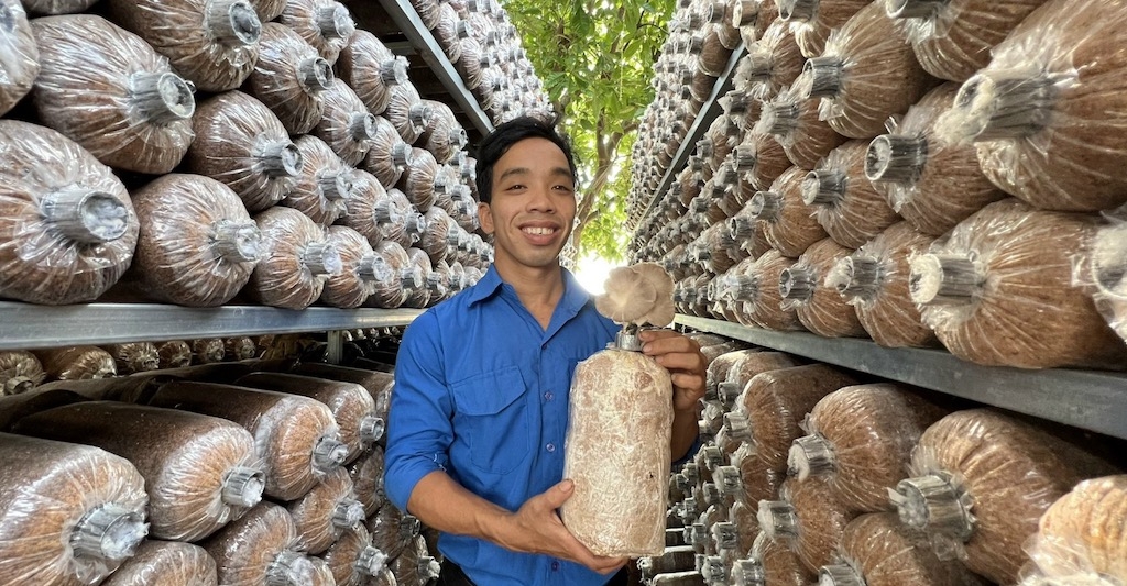 Mô hình trồng nấm của HTX Agribio Mỹ Đức mang lại hiệu quả cao.