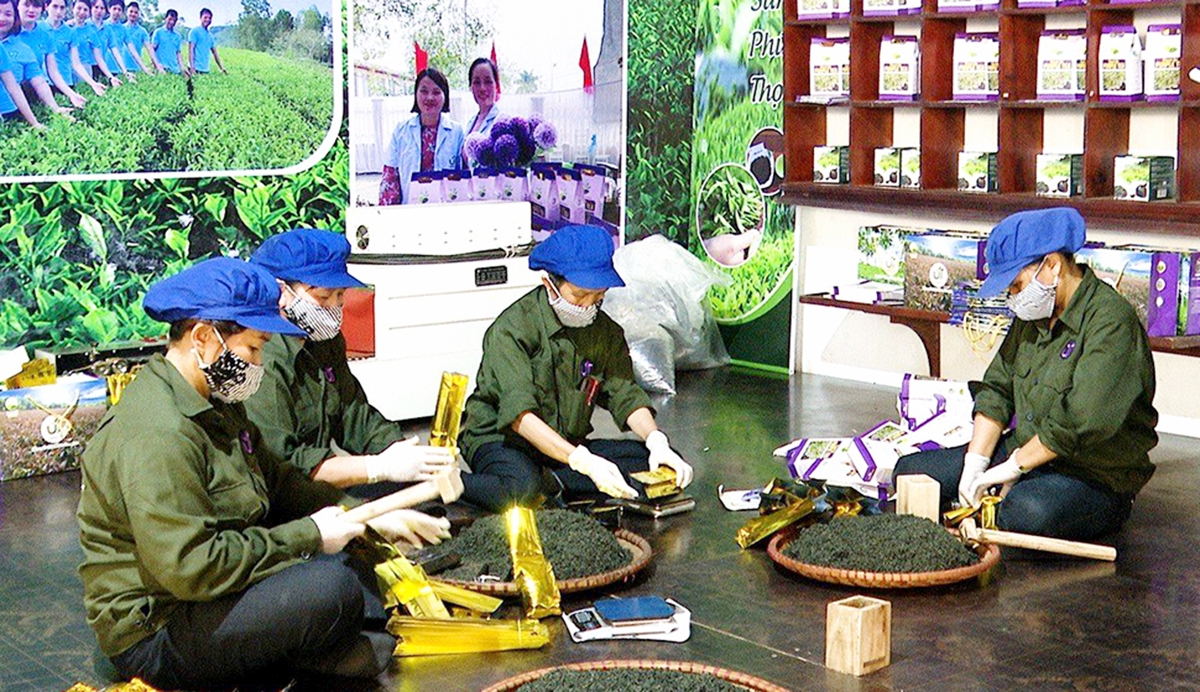 Hiệu quả sản xuất nông nghiệp là chìa khóa xây dựng nông thôn mới ở Thanh Ba &lpar;Ảnh: BPT&rpar;.