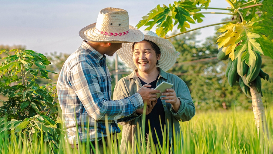 Chuyển đổi số là một tiêu chí mới nên cần có thời gian thực hiện và tháo gỡ khó khăn.