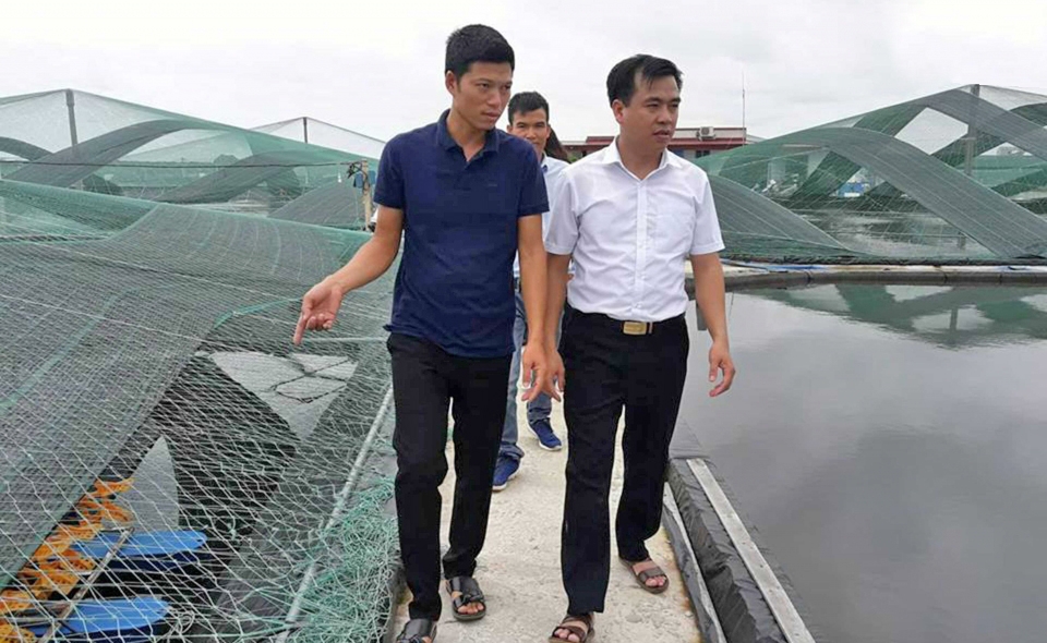 Nuôi trồng thủy sản công nghệ cao thúc đẩy nông thôn mới ở Thái Thụy.