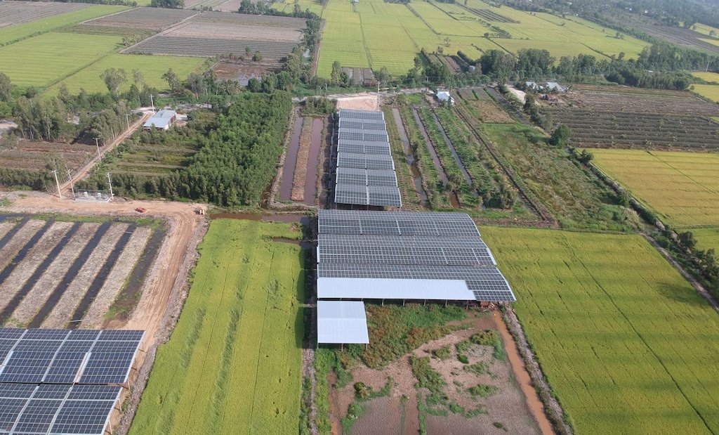 Huyện Phụng Hiệp phù hợp phát triển mô hình nông nghiệp tuần hoàn với vai trò góp sức của các HTX.