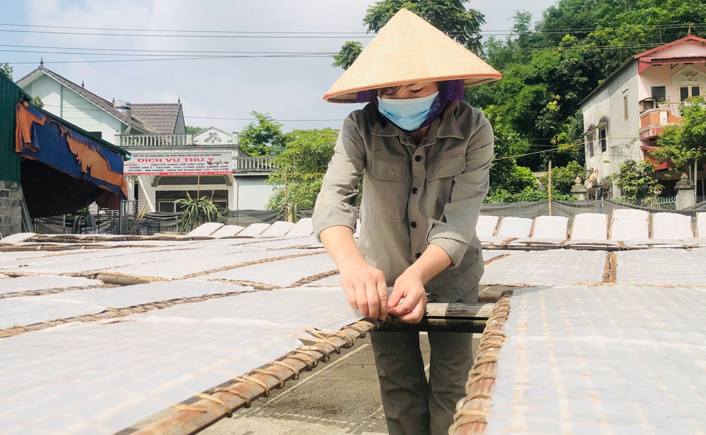 Gắn với nhiệm vụ xây dựng huyện NTM giai đoạn 2021-2025, quá trình củng cố, phát triển các HTX trên địa bàn huyện Định Hóa đang diễn ra mạnh mẽ.