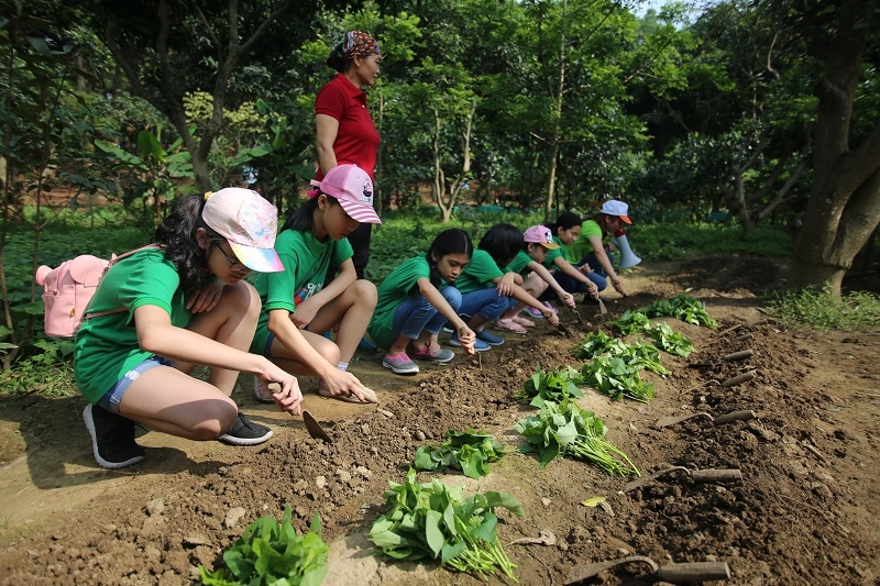 Du lịch trải nghiệm kết hợp sản xuất nông nghiệp sạch đang phát triển ở Sóc Sơn.