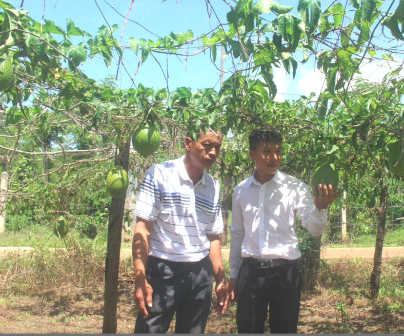 Năm 2023, HTX Nam Hà phấn đấu sẽ có lao động tham gia BHXH.