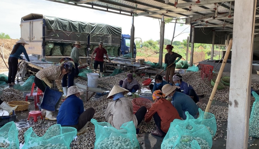 Người dân Đa Lộc đẩy mạnh nuôi trồng, khai thác thủy hải sản theo mô hình kinh tế tập thể, HTX để phát triển kinh tế và xây dựng NTM.