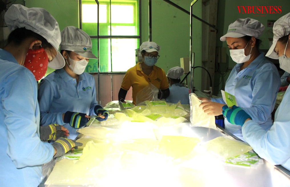 Do nguồn lực hạn hẹp, các DN nhỏ và vừa còn nhiều lúng túng trong quá trình “chuyển dịch xanh”.