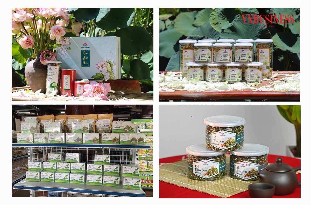 HTX Sen quê Bác là một trong những đơn vị có nhiều sản phẩm đạt tiêu chuẩn OCOP nhất của tỉnh Nghệ An, với 11/15 sản phẩm đạt chuẩn 3 sao hoặc 4 sao.