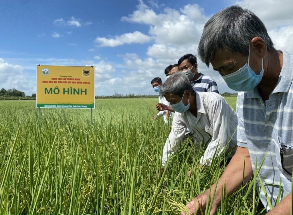 Tính đến nay trên địa bàn huyện Thạnh Trị có 18 HTX, trong đó có 11 HTX sản xuất lúa, cùng với sự hỗ trợ của Dự án VnSAT tỉnh Sóc Trăng đã mang lại những lợi ích thiết thực cho nông dân trồng lúa.