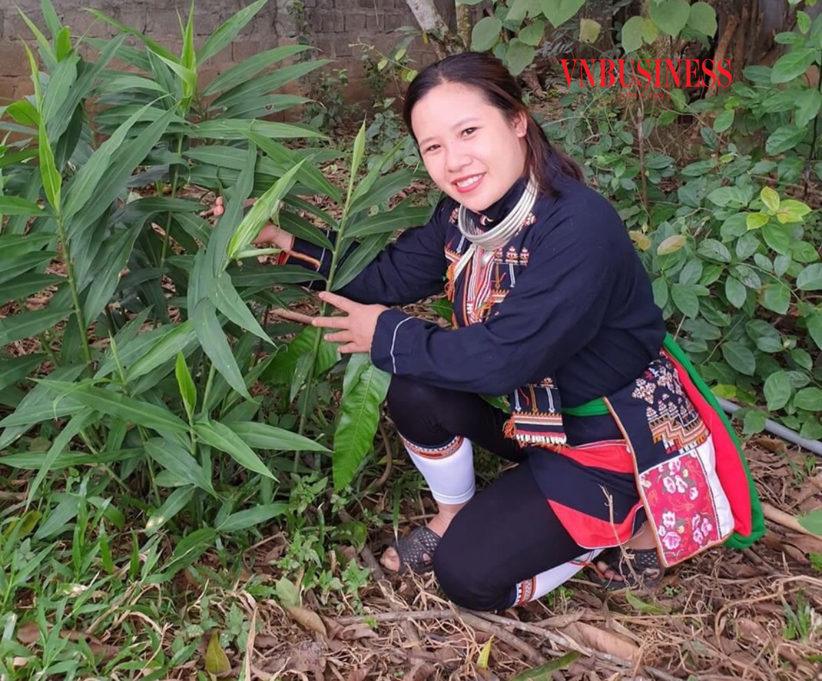 Chị Ngọc mong muốn gìn giữ và phát triển các bài thuốc quý của dân tộc Dao.