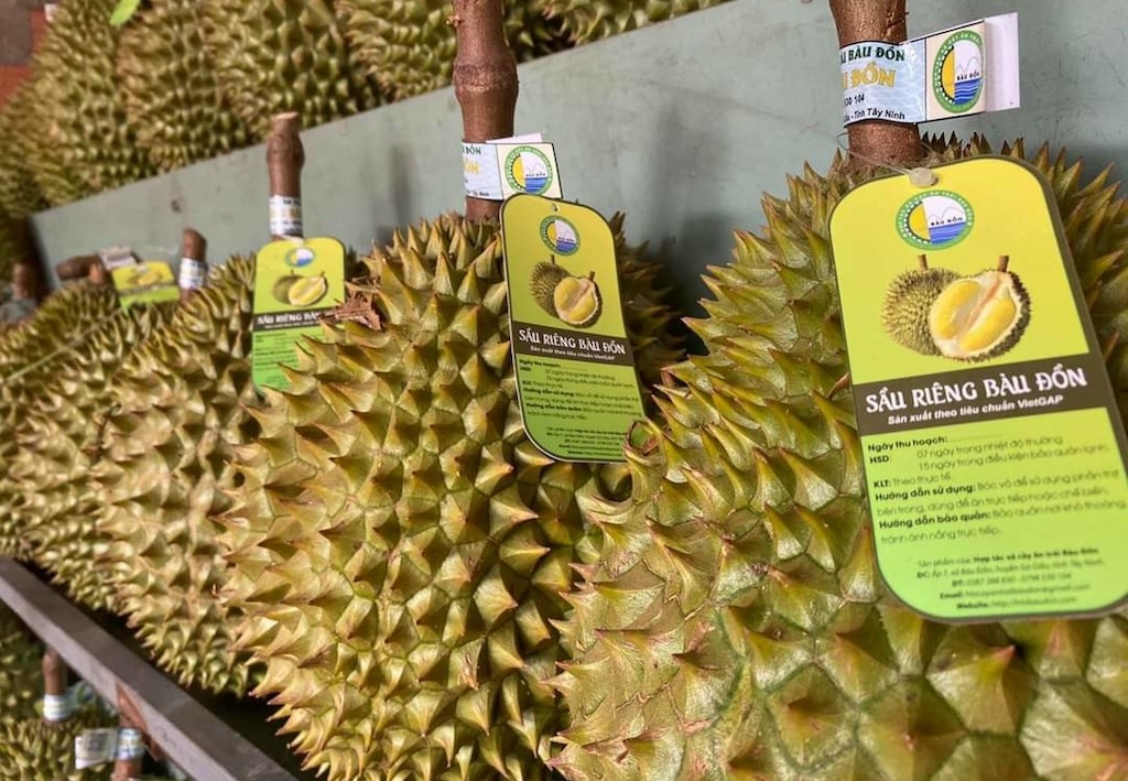 Nhờ hoạt động hiệu của HTX Cây ăn trái Bàu Đồn giúp cho trái sầu riêng Bàu Đồn có mặt tại các cửa hàng, siêu thị trên toàn quốc.