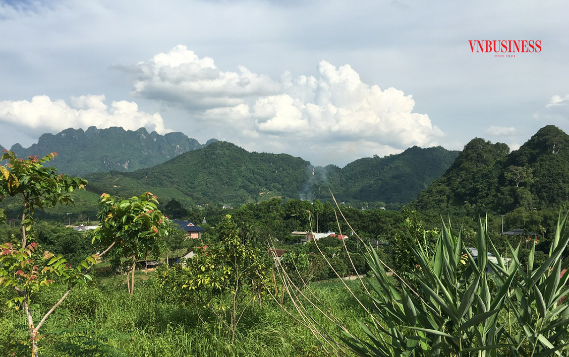 Mục tiêu của HTX là hướng đến du lịch sinh thái nông nghiệp, góp phần quảng bá du lịch, tăng khả năng tiêu thụ cam cho các thành viên.