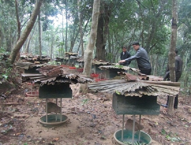 Các HTX ở vùng đệm đã góp phần tạo việc làm, tăng thu nhập, góp phần xóa đói, giảm nghèo cho người dân.