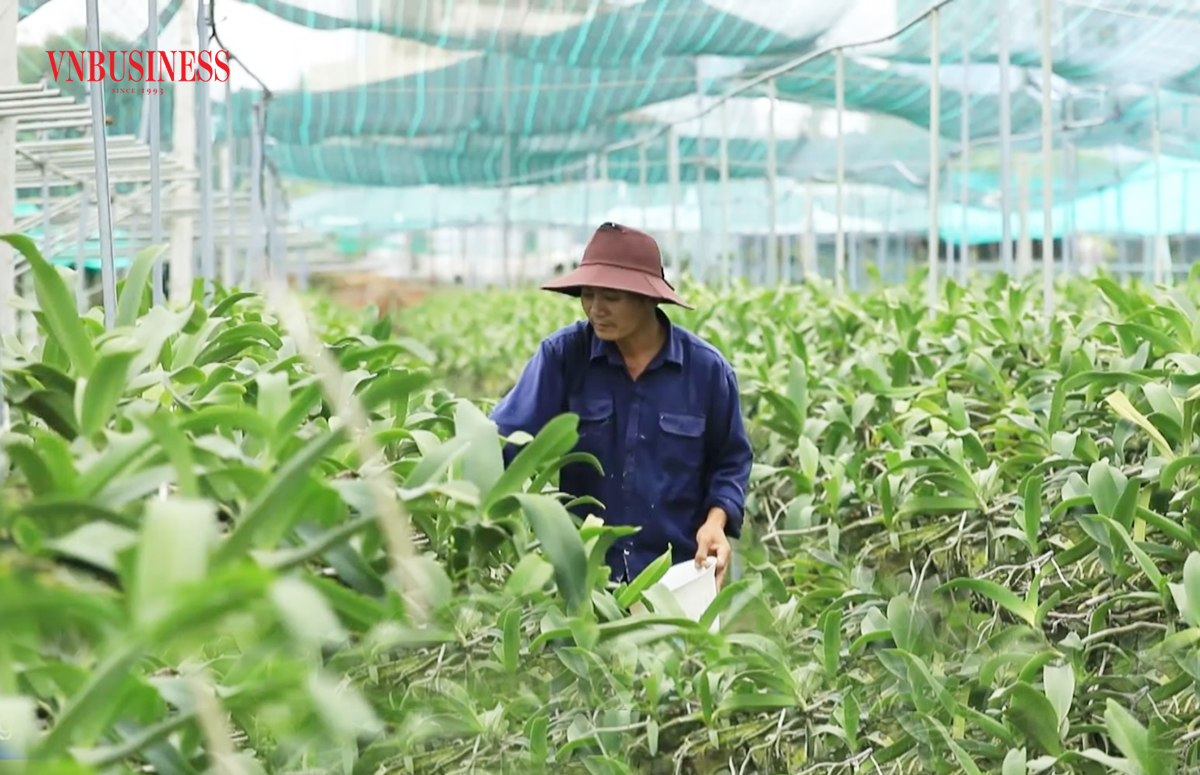 Củ Chi tiếp tục chú trọng xây dựng nông thôn mới gắn với nông nghiệp sinh thái kết hợp du lịch.