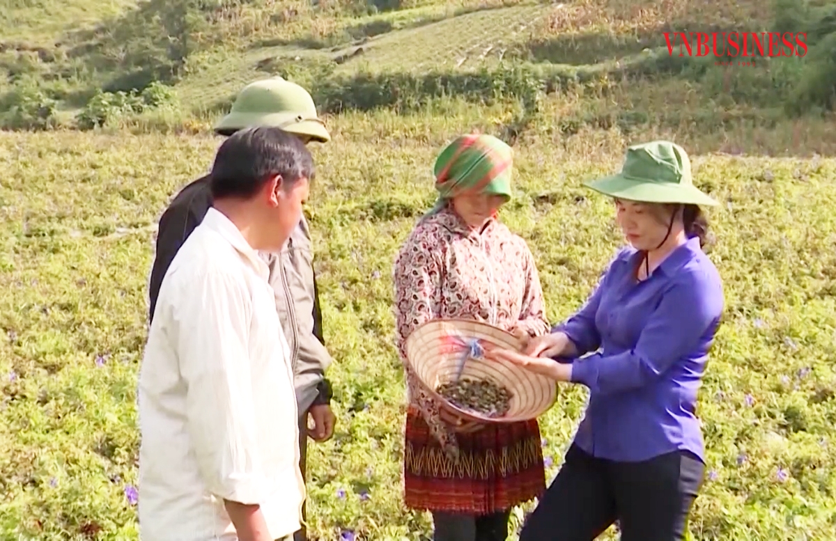 Lào Cai dự kiến nhân rộng các HTX điểm để thúc đẩy quá trình xóa đói, giảm nghèo tại các địa phương.