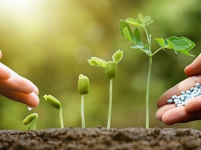 Giá Ure nội địa và thế giới có sự chênh lệch là lý do các doanh nghiệp trong nước không mặn mà với việc xuất khẩu.