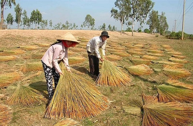 Đào tạo nghề đã tạo ra nhiều công ăn việc làm, góp phần giảm nghèo bền vững, nâng cao đời sống vật chất, tinh thần cho người dân.