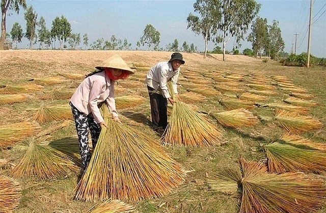 Đào tạo nghề đã tạo ra nhiều công ăn việc làm, góp phần giảm nghèo bền vững, nâng cao đời sống vật chất, tinh thần cho người dân.